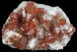 Natural Red Quartz Crystals - Morocco #70762-1